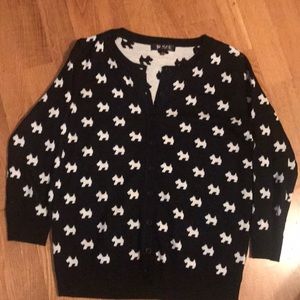 Scottish dog Cardigan